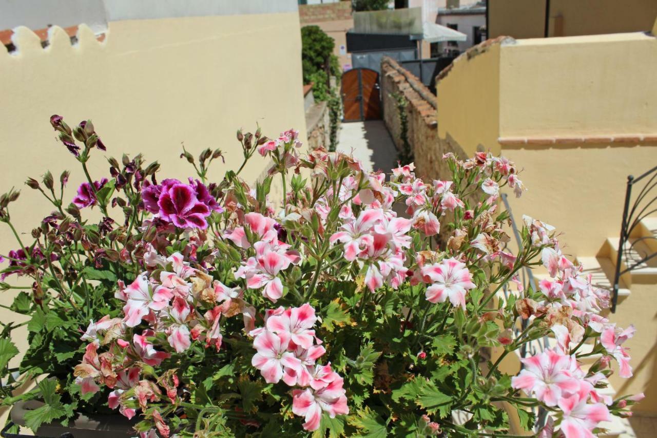 Ogliastra Luxury Apartment - Ajpsardinia Tortolì Εξωτερικό φωτογραφία
